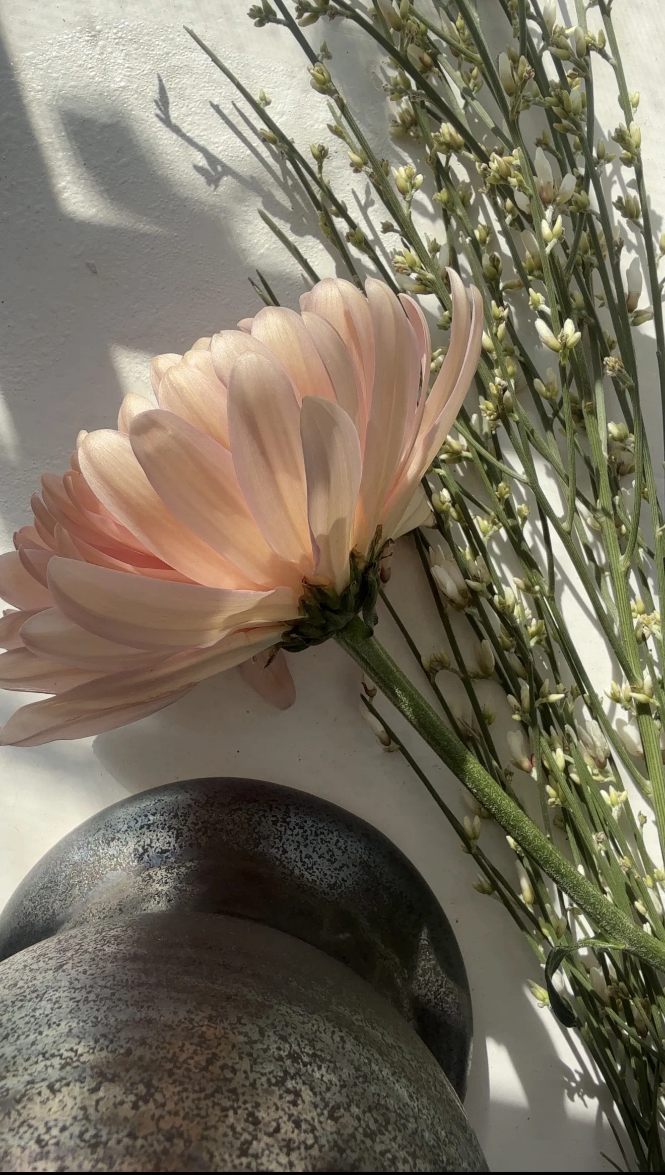 An apricot chrysanthemum and delicate stems beside a textured ceramic vessel, seen from above