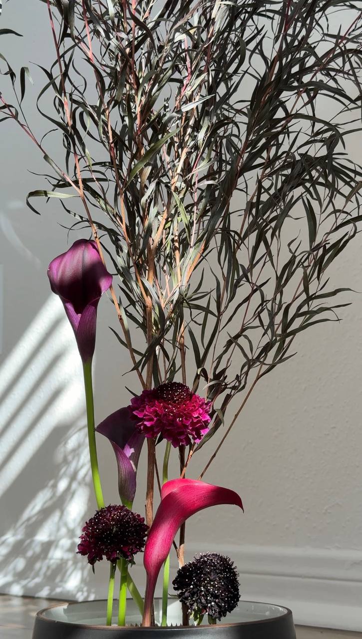 Deep wine ikebana arrangement