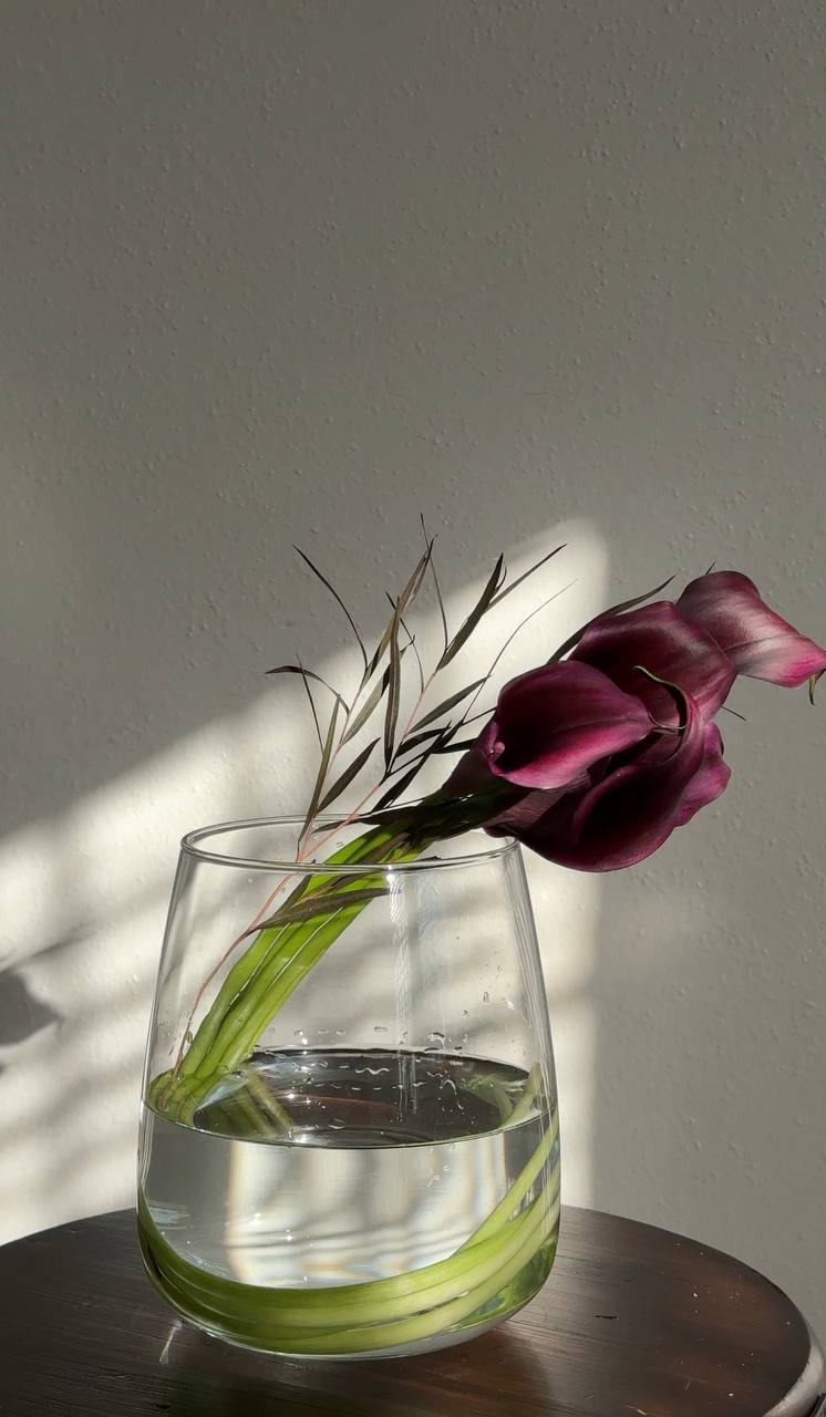 Calla lilies in glass vase