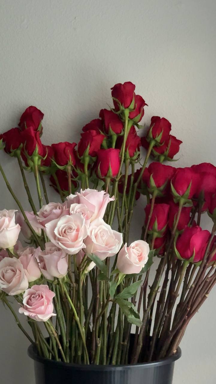 Stem library buckets of roses