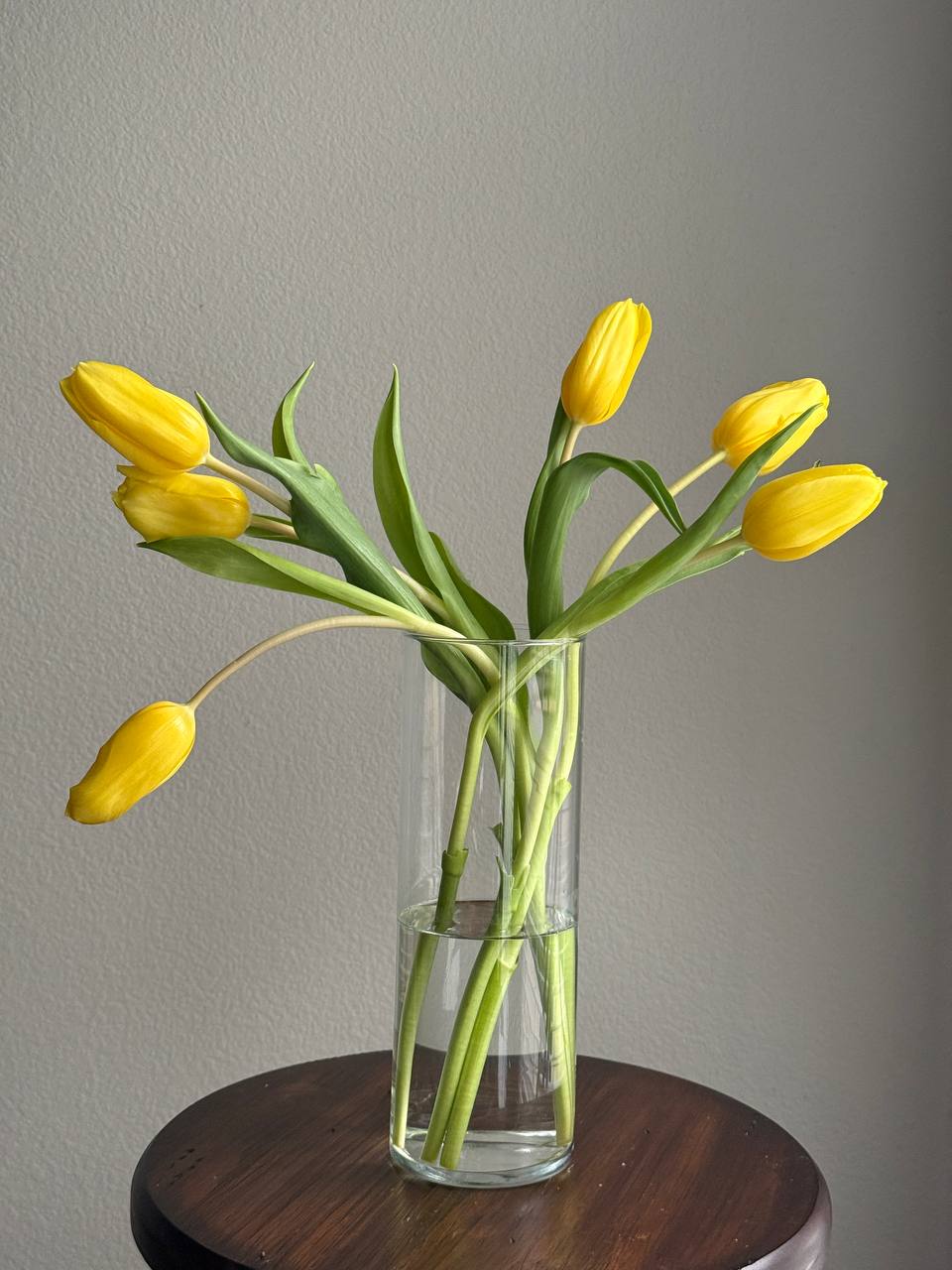 Yellow tulips in a glass vase